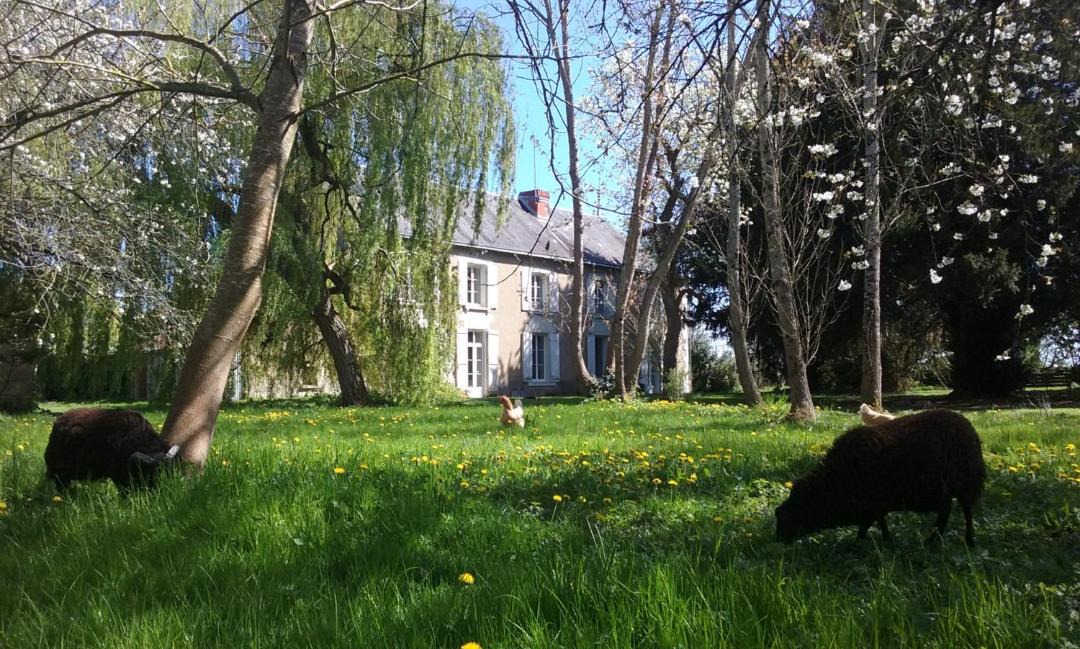 Photo of Others in Vouneuil-sur-Vienne