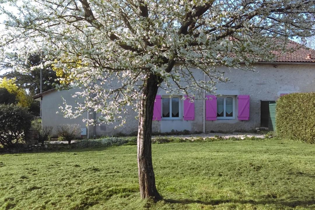 Photo of Buildings in Saint-Pierre-de-Buzet