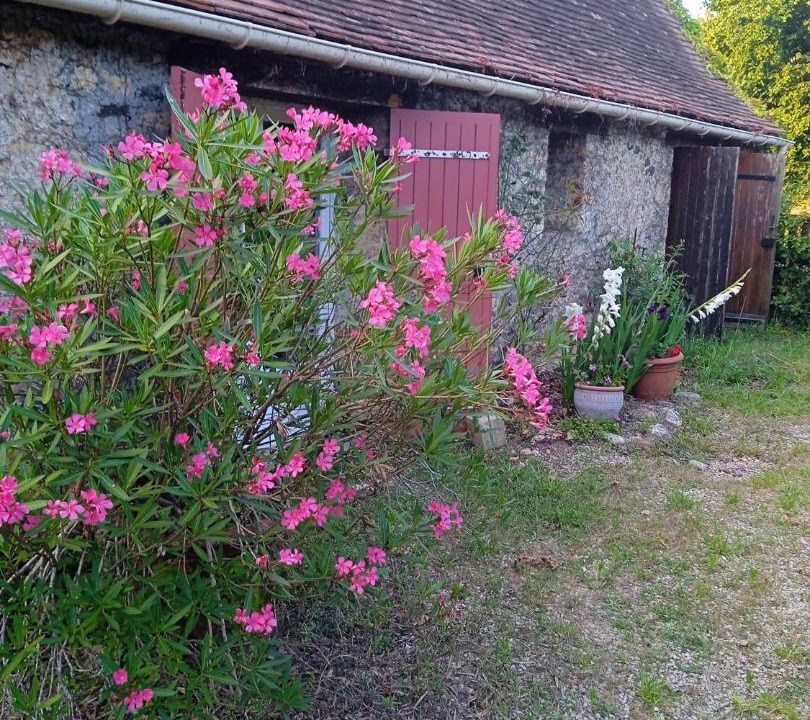 Photo of Others in Alles-sur-Dordogne