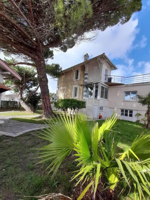 Photo of Buildings in Royan