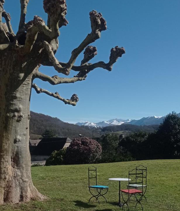 Photo of Outdoor in Bidos