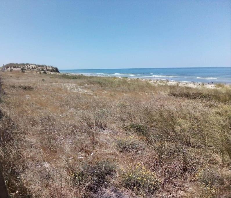 Photo of Outdoor in Vensac