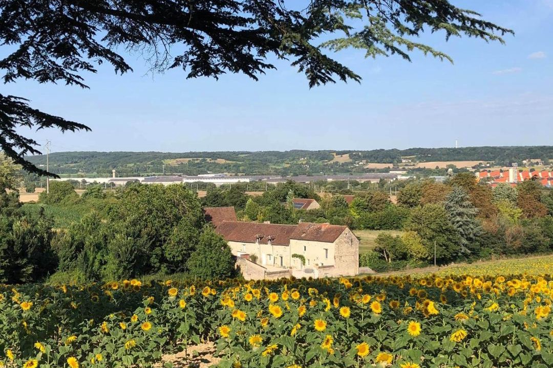Photo of Others in Dange-Saint-Romain