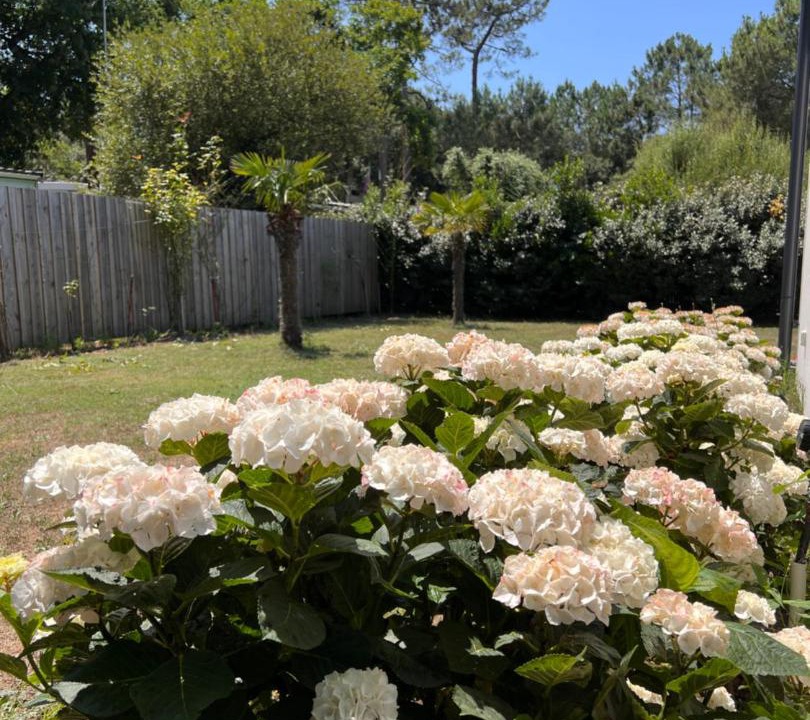 Photo of Outdoor in Maubuisson