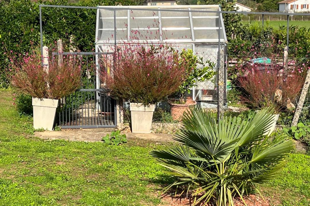 Photo of Outdoor in Marillac-le-Franc