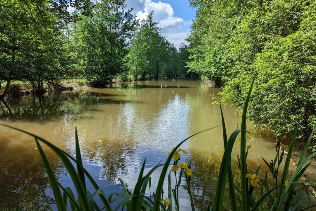 Photo of Outdoor in Guizengeard