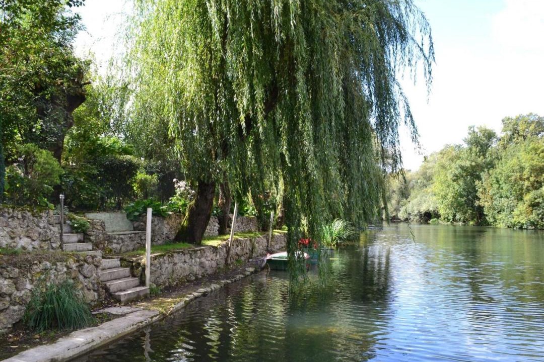 Photo of Others in Saint-Genis-d'Hiersac