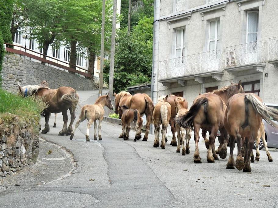 Photo of Others in Eaux-Bonnes