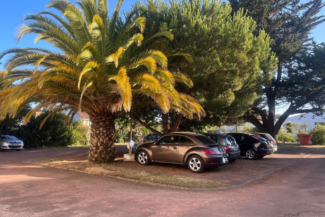 Photo of Others in Cheray