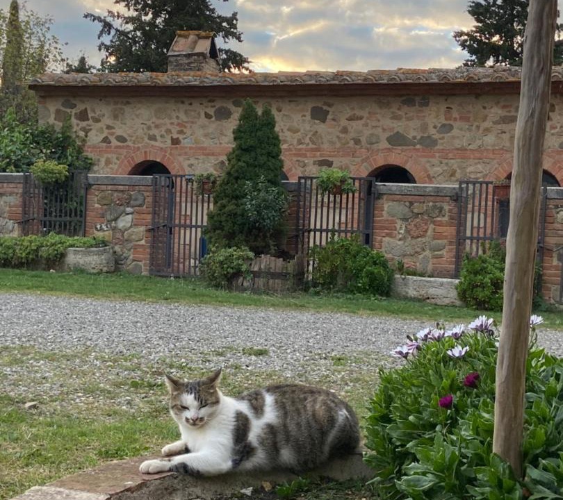 Photo of Buildings in Castiglione d'Orcia