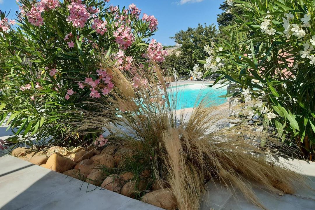 Photo of Outdoor in Aramon