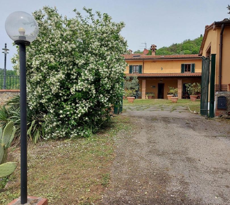Photo of Others in Monsummano Terme