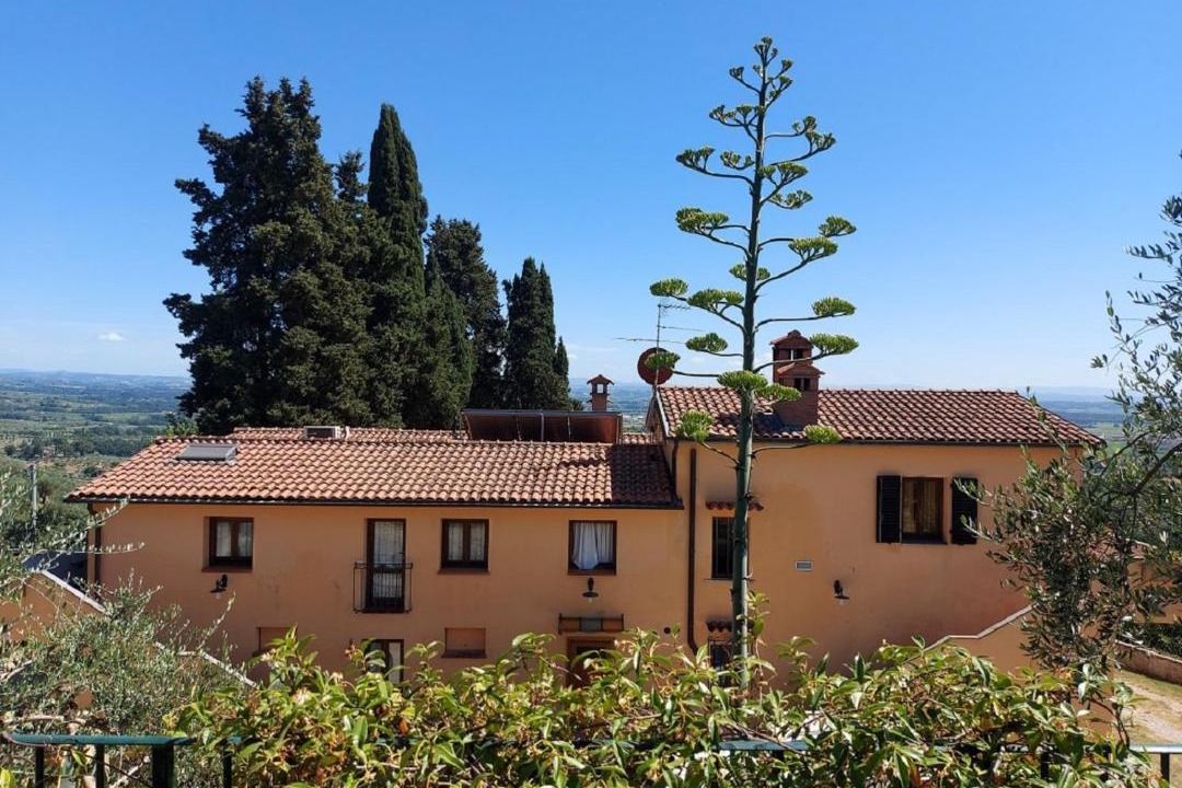 Photo of Others in Monsummano Terme