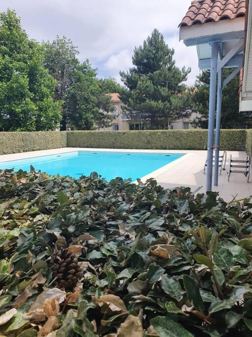 Photo of Outdoor in Biscarrosse