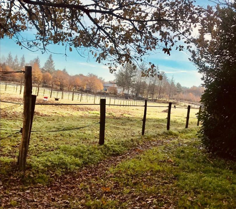 Photo of Outdoor in Eygurande-et-Gardedeuil