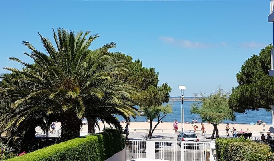 Photo of Others in Arcachon
