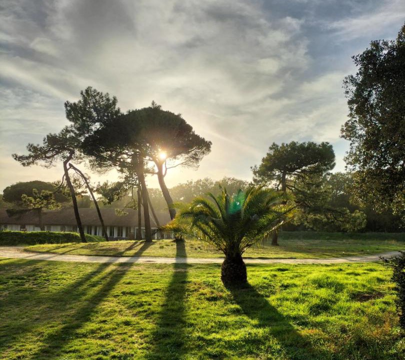 Photo of Others in Saint-Pierre-d'Oleron