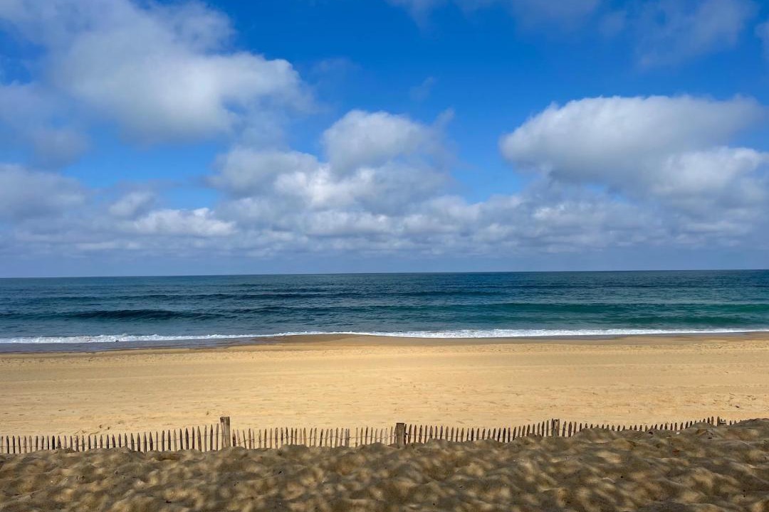 Photo of Others in Lege-Cap-Ferret