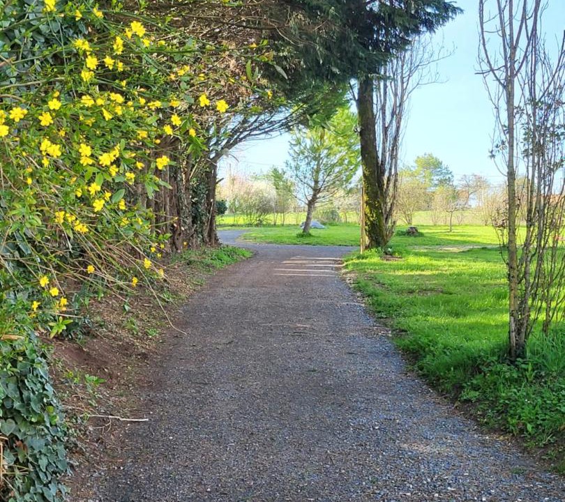 Photo of Outdoor in Mareuil
