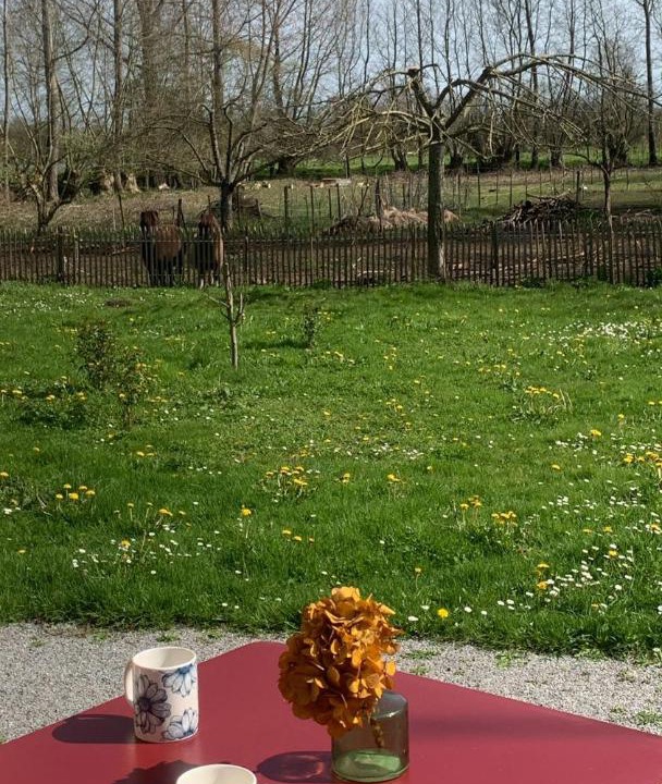 Photo of Others in Aigrefeuille-d'Aunis