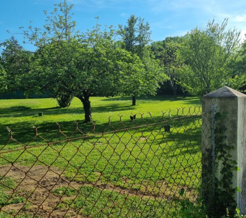 Photo of Others in Miramont-de-Guyenne
