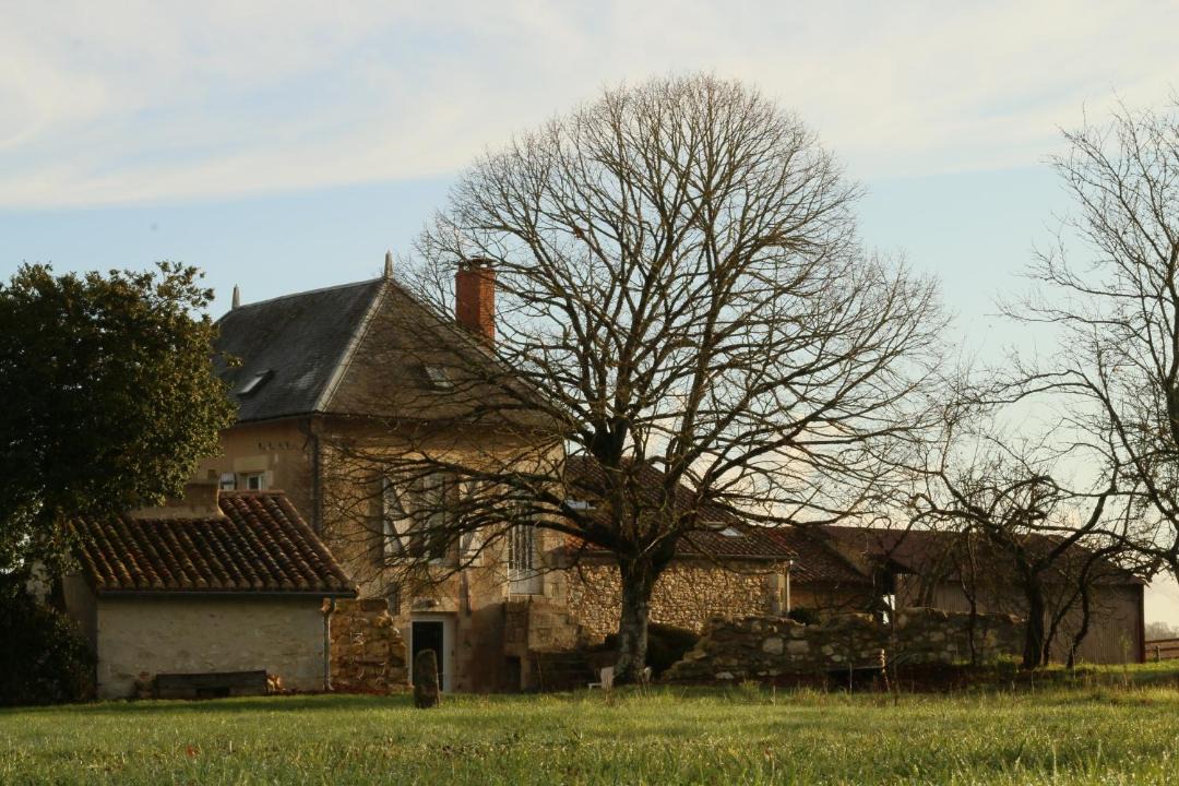 Photo of Buildings in Lhommaize