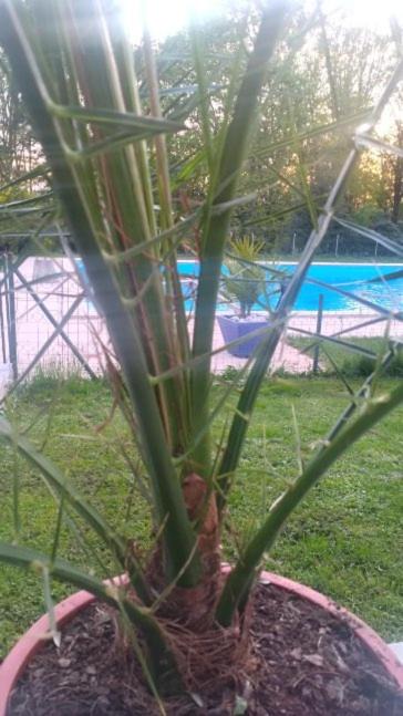 Photo of Outdoor in Parthenay