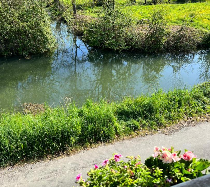 Photo of Others in Coulon