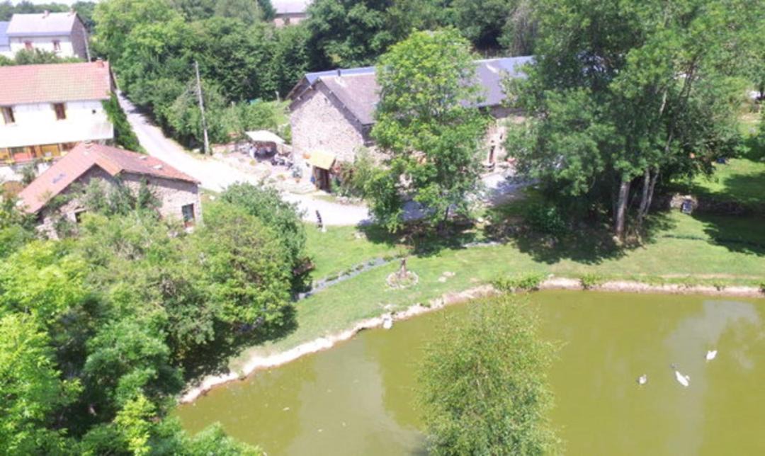 Photo of Others in Merinchal