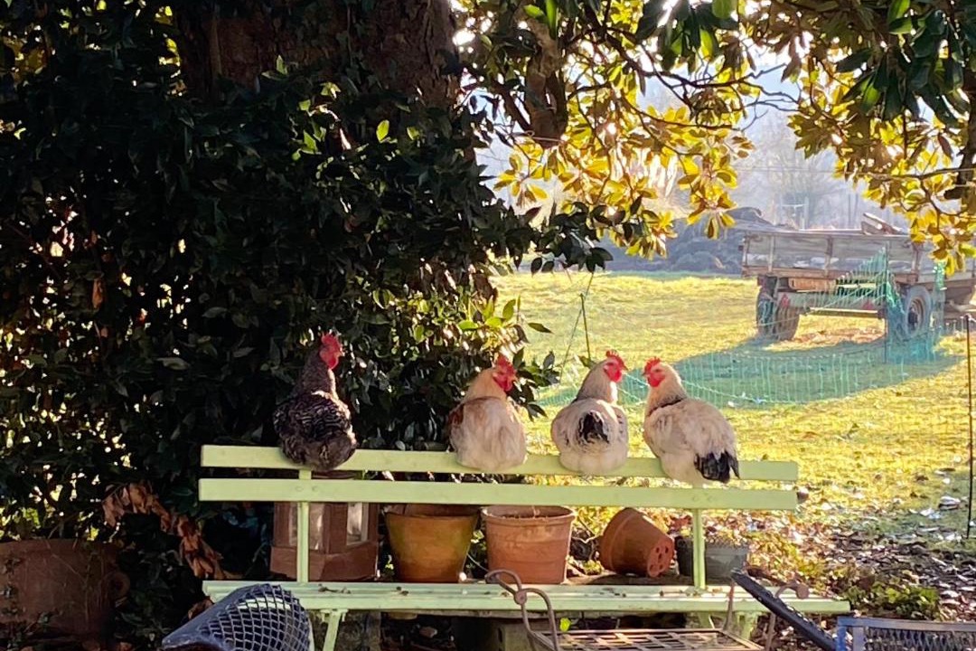 Photo of Others in Bourg-sur-Gironde