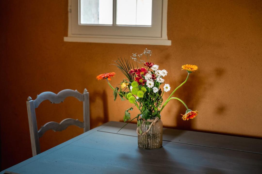 Photo of Others in Bourg-sur-Gironde