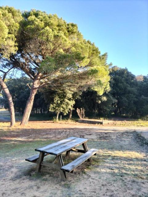 Photo of Others in Saint-Pierre-d'Oleron