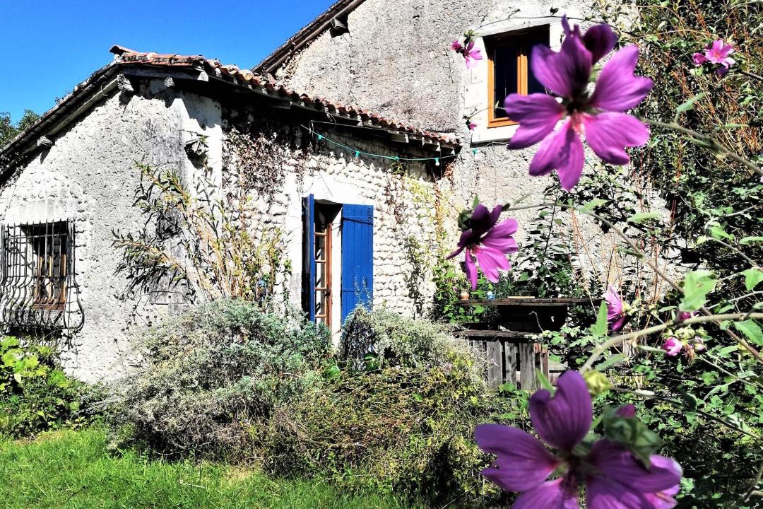 Photo of Others in Bouteilles-Saint-Sebastien