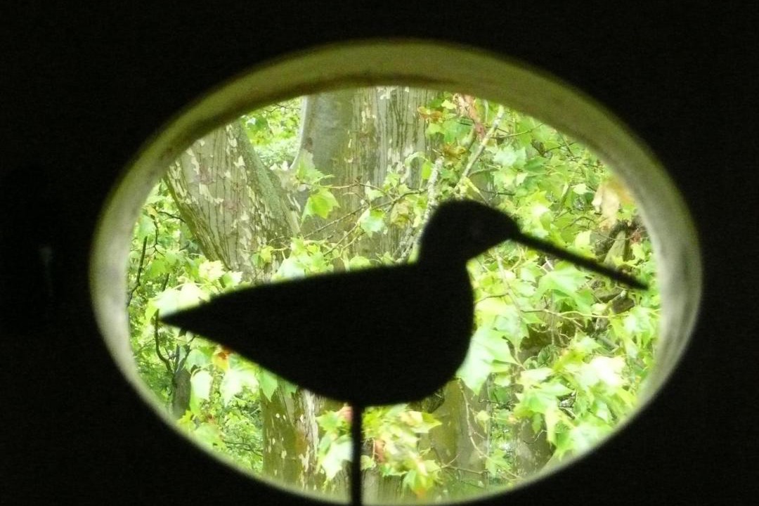 Photo of Others in Castetnau-Camblong