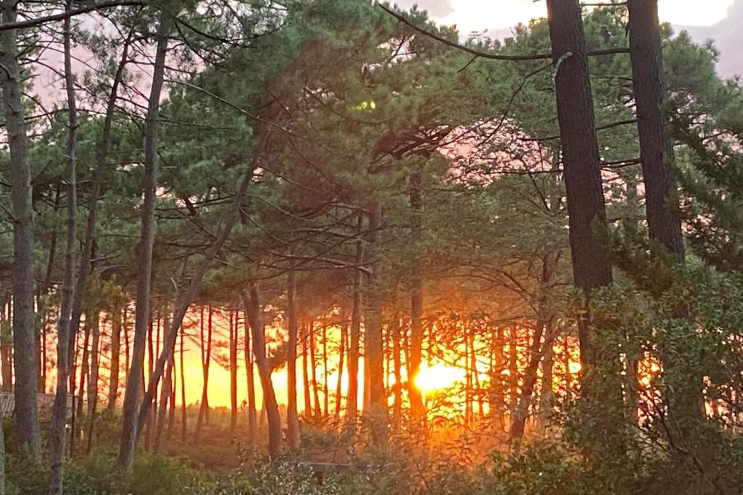 Photo of Outdoor in Le Porge