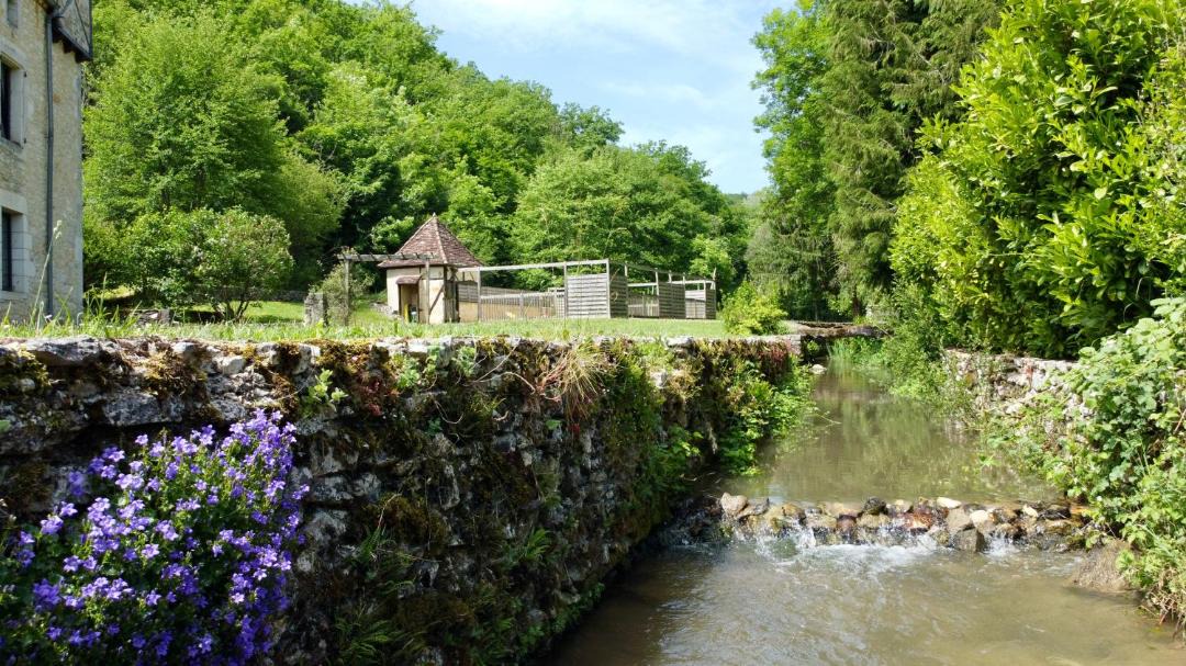 Photo of Others in Salignac-Eyvignes