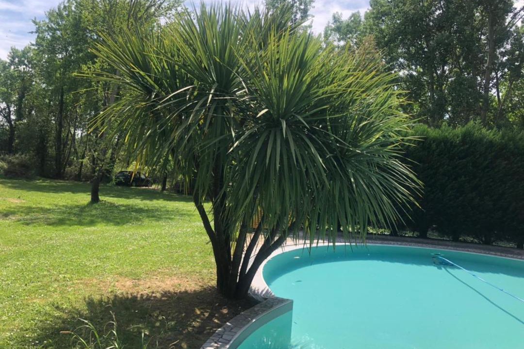 Photo of Outdoor in Saint-Sulpice-et-Cameyrac