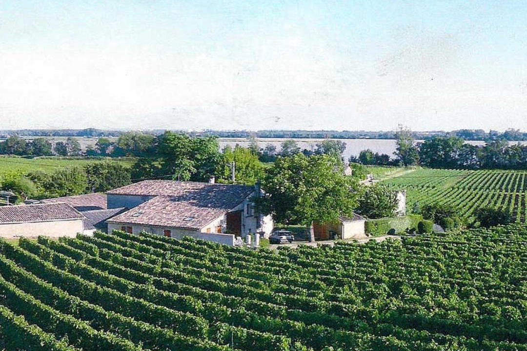 Photo of Others in Bourg-sur-Gironde