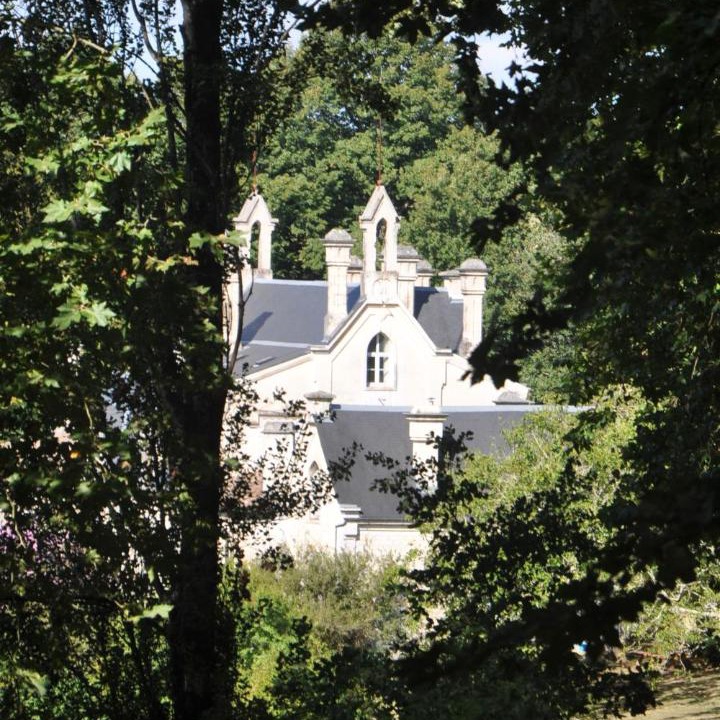 Photo of Others in Saint-Thomas-de-Conac