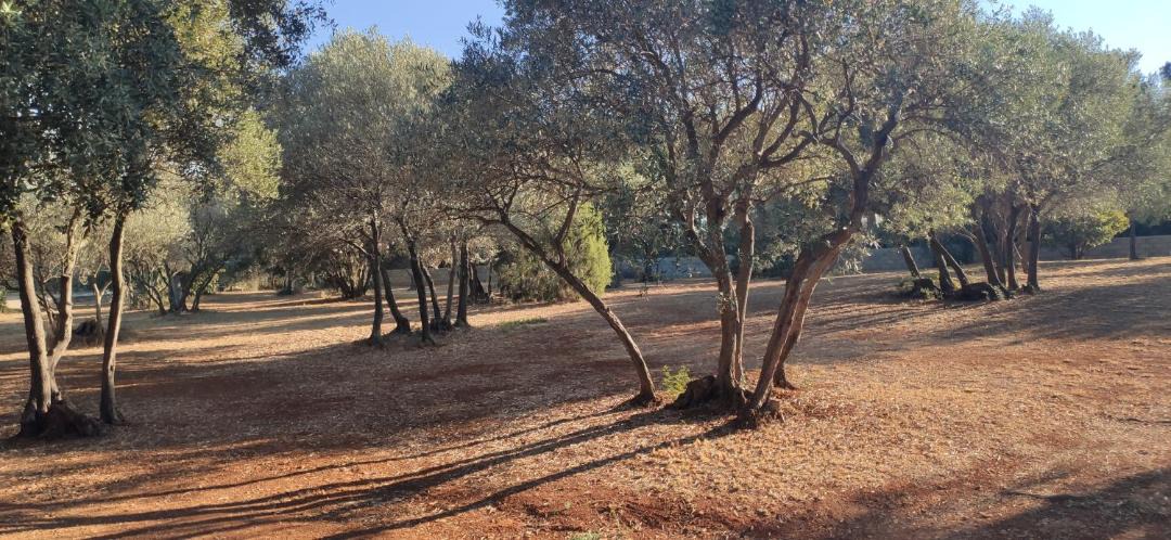 Photo of Outdoor in La Cadiere-d'Azur