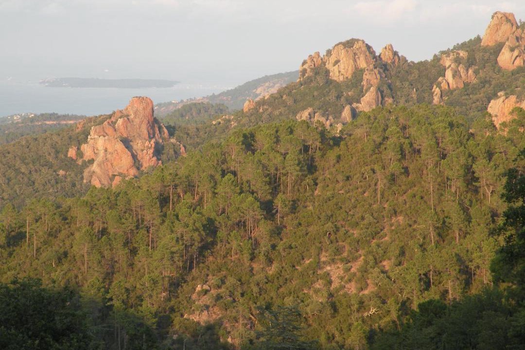 Photo of Outdoor in Saint-Raphael