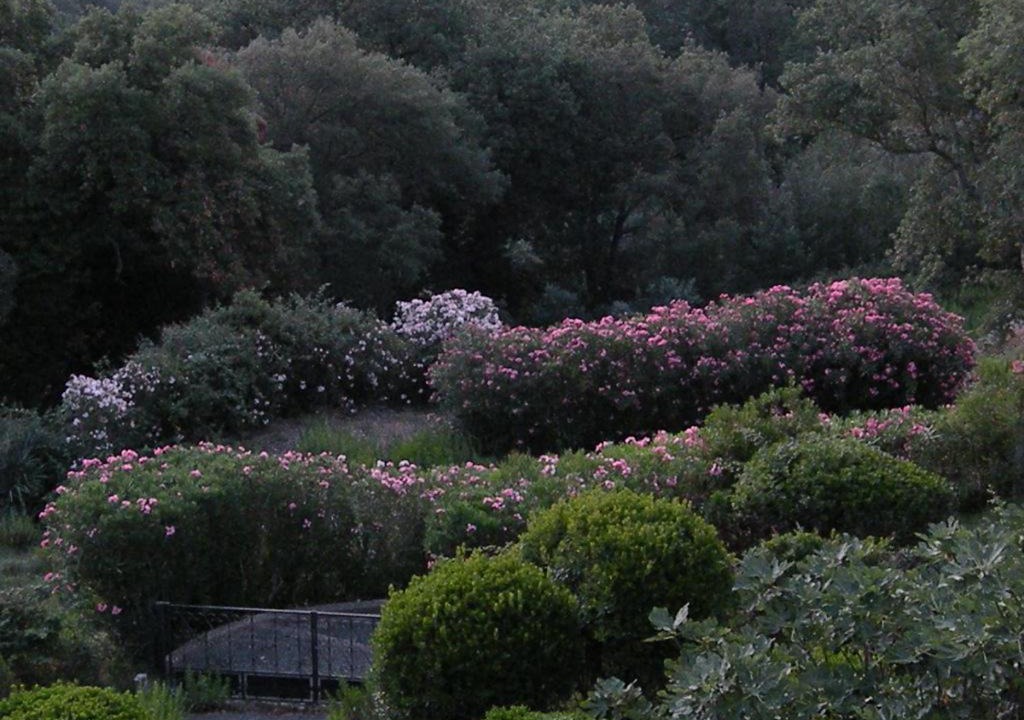 Photo of Outdoor in Saint-Raphael