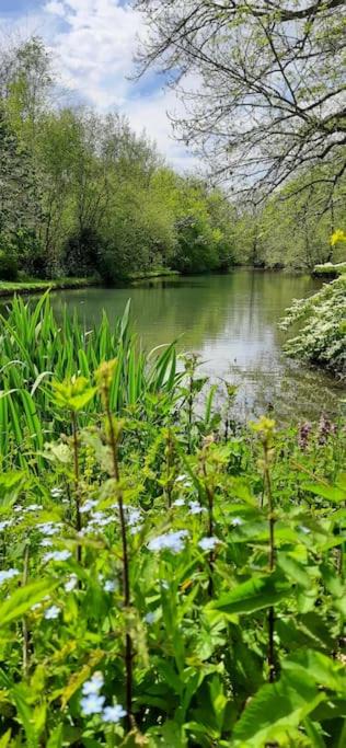 Photo of Outdoor in Bruges-Capbis-Mifaget