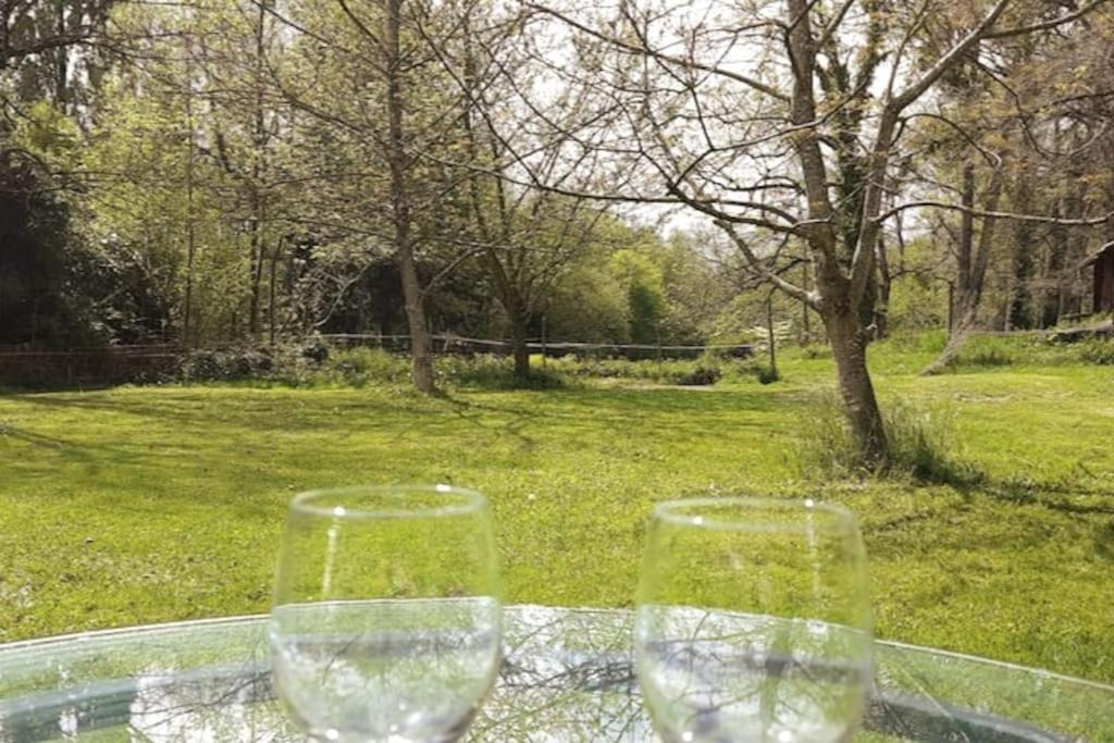Photo of Outdoor in Bruges-Capbis-Mifaget