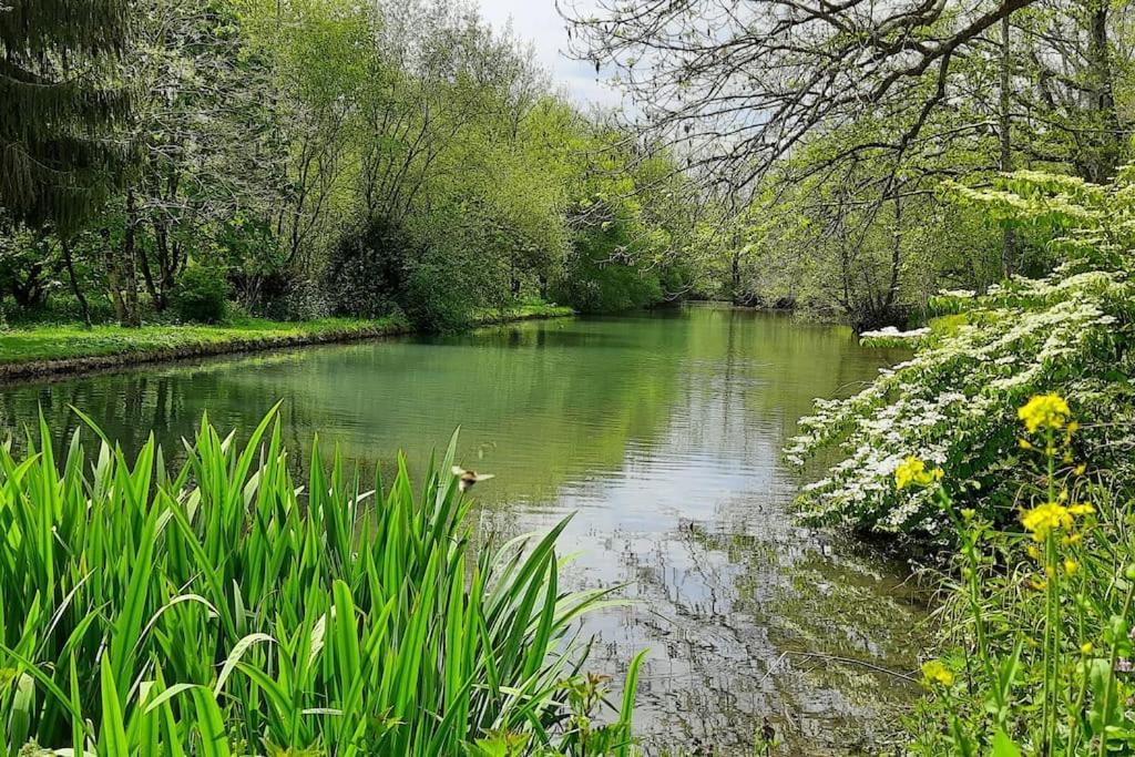 Photo of Outdoor in Bruges-Capbis-Mifaget