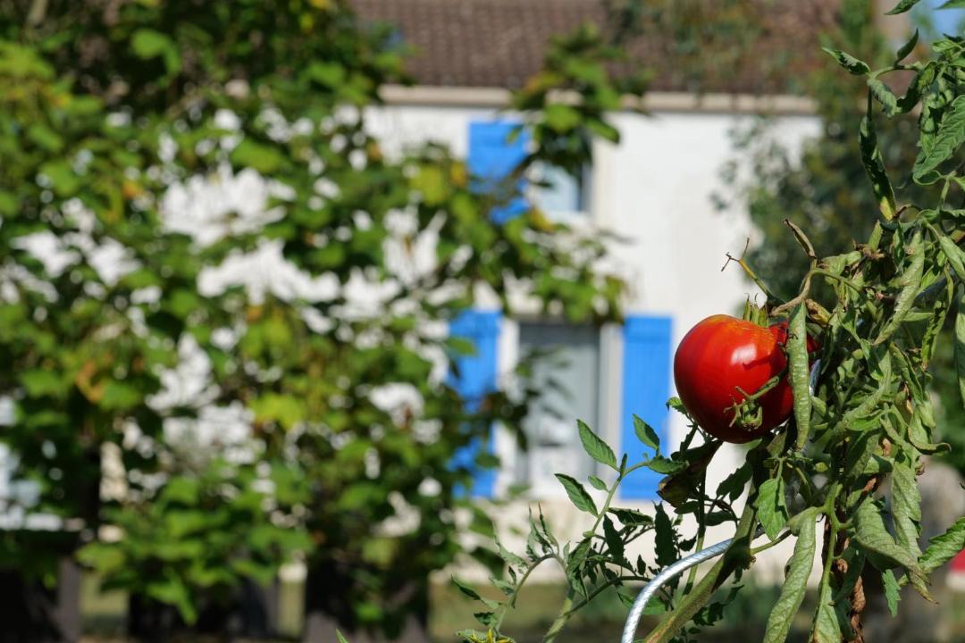 Photo of Others in Mauzac