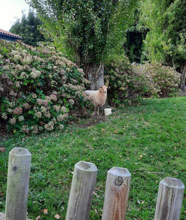 Photo of Others in Saint-Pee-sur-Nivelle