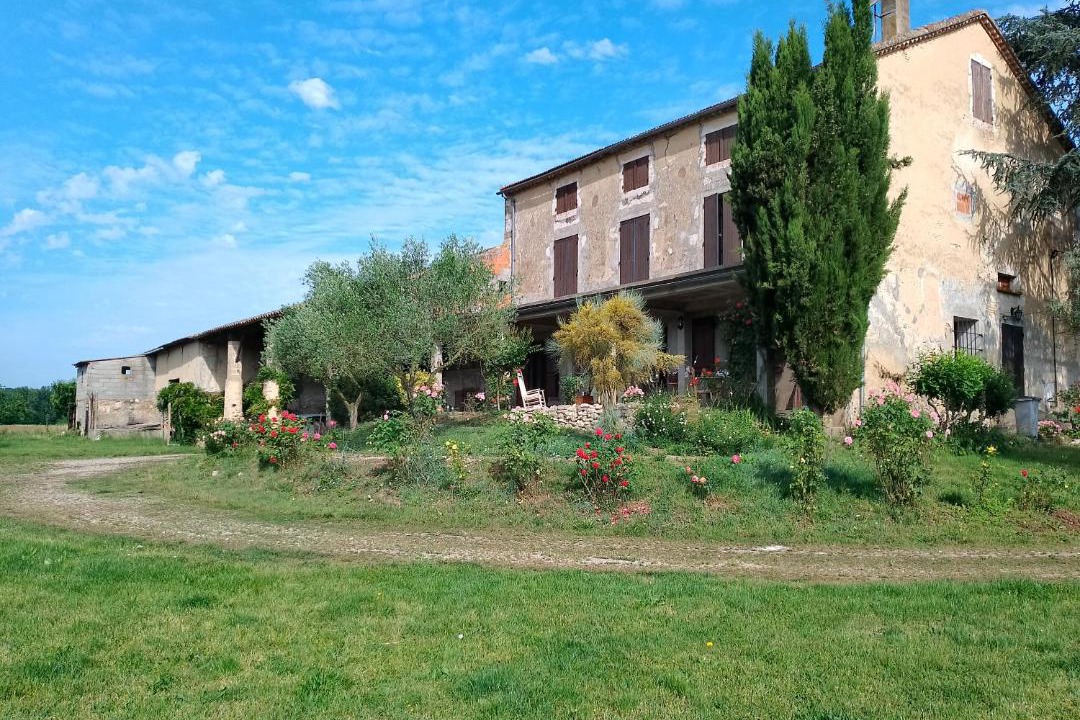 Photo of Buildings in Damazan