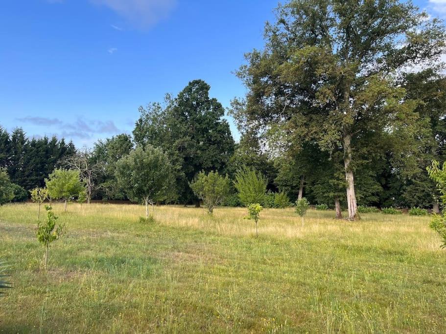 Photo of Outdoor in Lamothe-Montravel