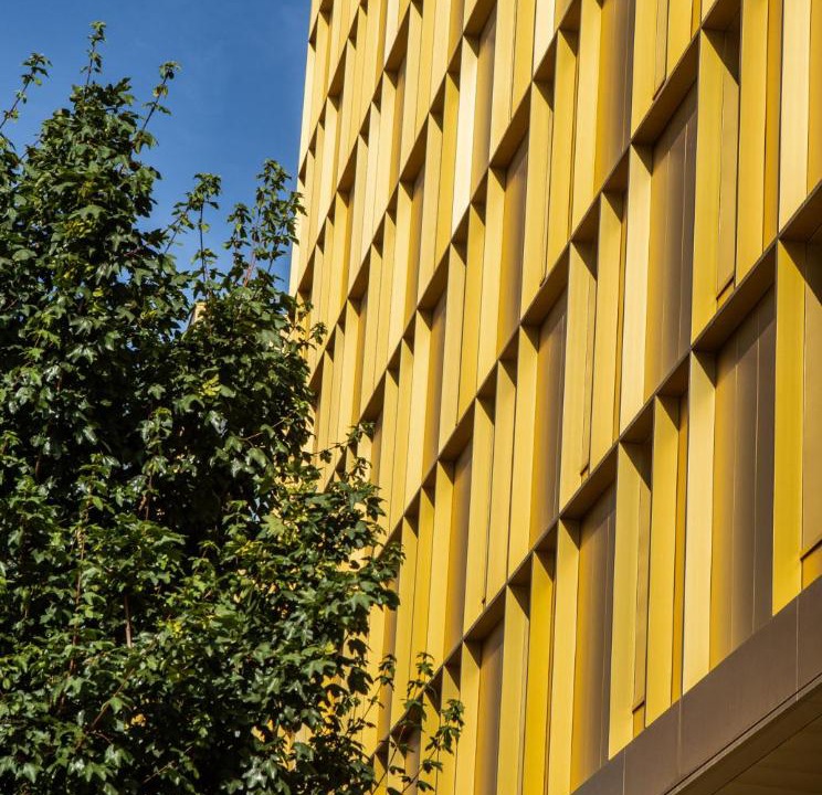 Photo of Buildings in L'Arenas